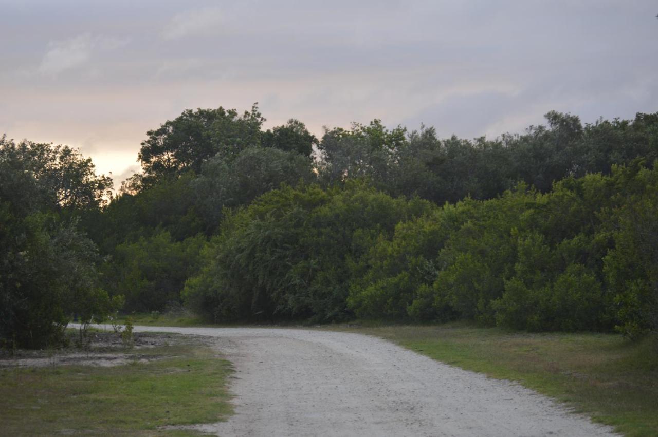 Matjesfontein Estate Keurbooms Chalet 普勒滕贝格湾 外观 照片
