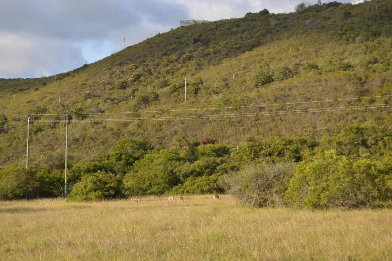 Matjesfontein Estate Keurbooms Chalet 普勒滕贝格湾 外观 照片